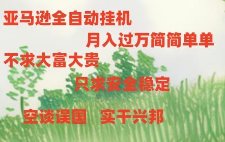 亚马逊全自动浏览挂机，，收益稳定且前景广阔-百货大全