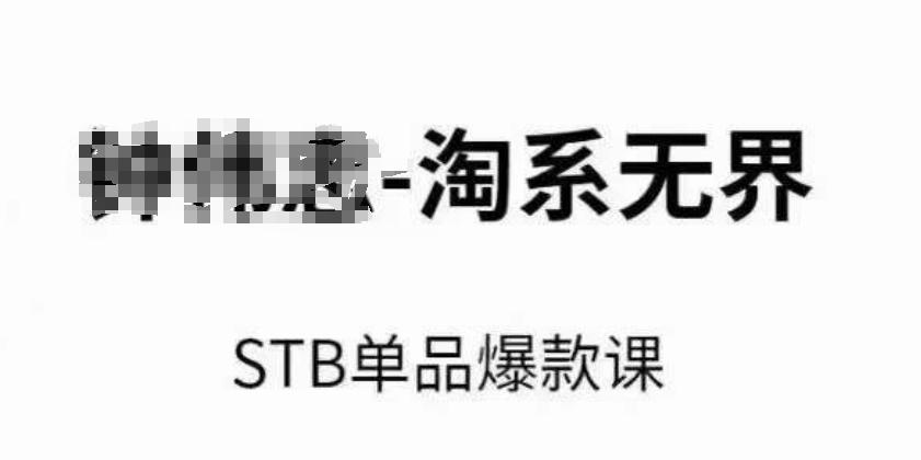 淘系无界STB单品爆款课(2024)，付费带动免费的核心逻辑，万相台无界关键词推广/精准人群的核心-百货大全