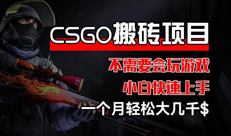 CSGO 装备搬砖项目，操作简单，不需要会玩游戏，小白也能快速上手，一个月轻松大几千【揭秘】-百货大全