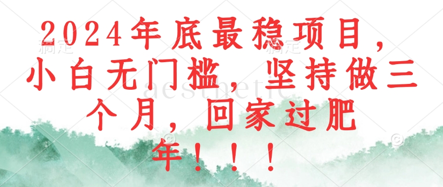 2024年底最稳项目，小白无门槛，坚持做三个月，回家过肥年！！！-百货大全