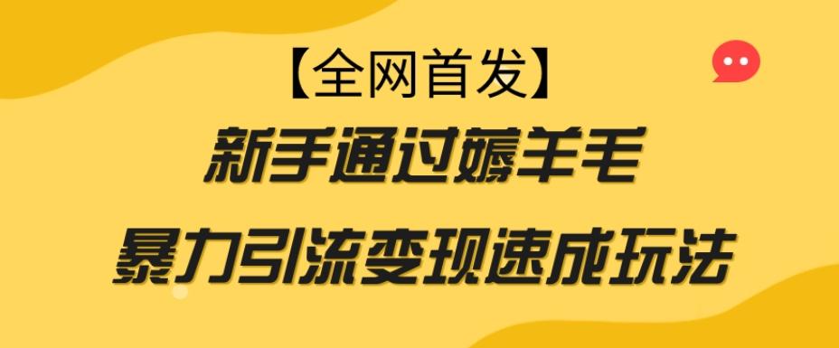 【全网首发】新手通过薅羊毛暴力引流变现速成玩法-百货大全