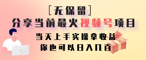 无保留分享当前最火视频号项目，当天上手实操拿收益，你也可以日入几百-百货大全