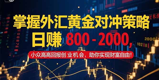 掌握外汇黄金对冲策略，日赚 800 - 2000，小众高回报创业机会，助你实...-百货大全
