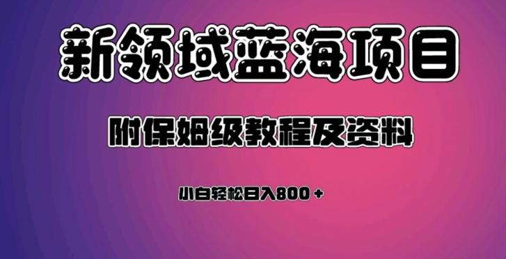 虚拟资源蓝海领域新项目，轻松日入800＋，附保姆级教程及资料-百货大全