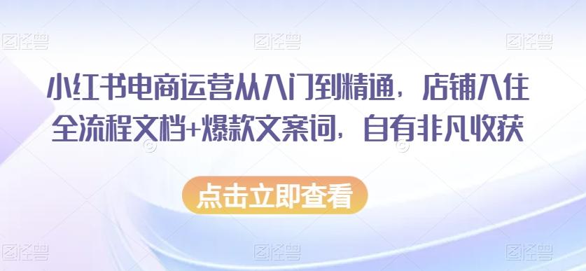 小红书电商运营从入门到精通，店铺入住全流程文档+爆款文案词，自有非凡收获-百货大全