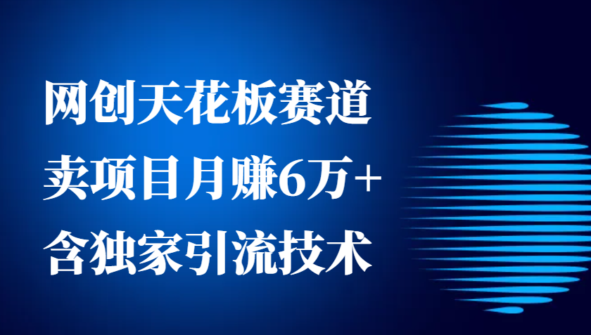 网创天花板赛道，卖项目月赚6万+，含独家引流技术(共26节课)-百货大全