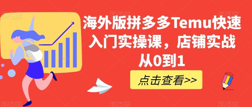 海外版拼多多Temu快速入门实操课，店铺实战从0到1-百货大全