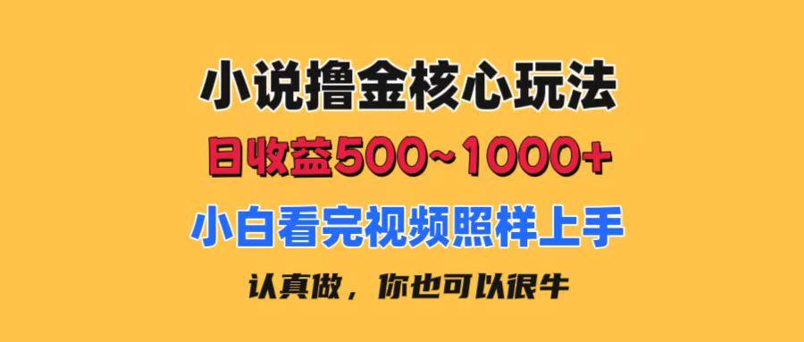 小说撸金核心玩法，日收益500-1000+，小白看完照样上手，0成本有手就行-百货大全