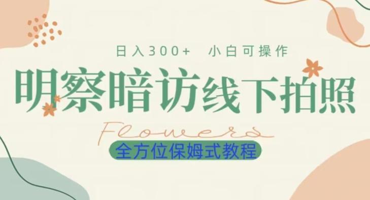 明拍暗拍项目0成本投入日入300+小白可操作保姆式全方位教程-百货大全