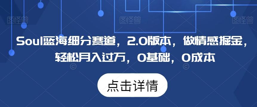 Soul蓝海细分赛道，2.0版本，做情感掘金，轻松月入过万，0基础，0成本-百货大全