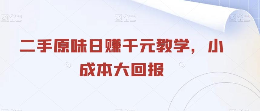 二手原味日赚千元教学，小成本大回报-百货大全