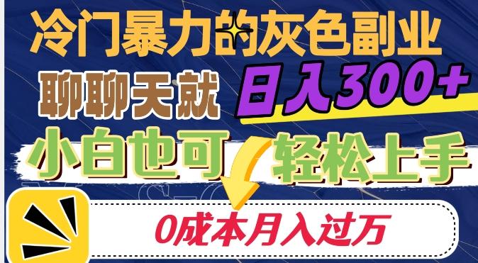 冷门暴利的副业项目，聊聊天就能日入300+，0成本月入过万【揭秘】-百货大全