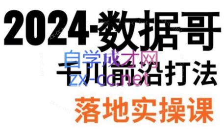 数据哥·2024年千川前沿打法落地实操课-百货大全