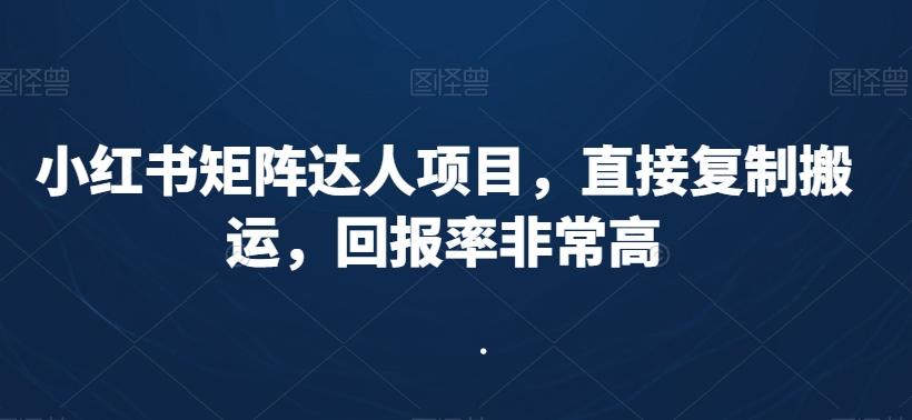 小红书矩阵达人项目，直接复制搬运，回报率非常高-百货大全
