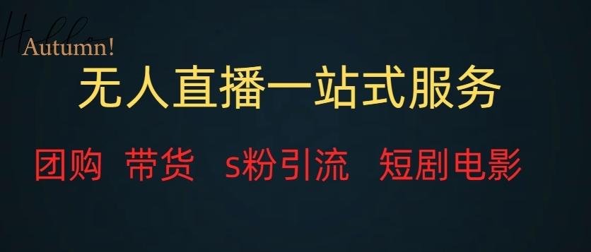 无人直播一站式服务（教程以及变现方式）-百货大全