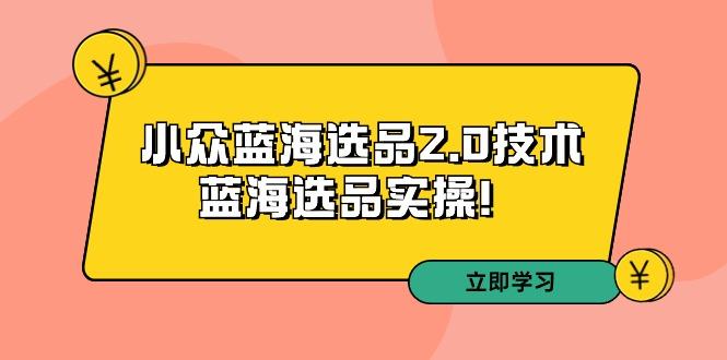 拼多多培训第33期：小众蓝海选品2.0技术-蓝海选品实操！-百货大全