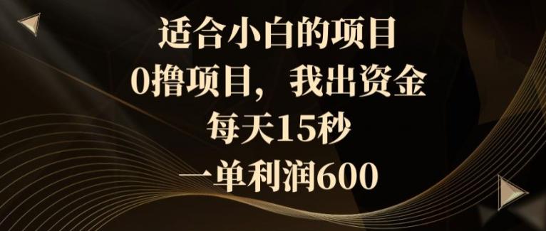 适合小白的项目，0撸项目，我出资金，每天15秒，一单利润600-百货大全
