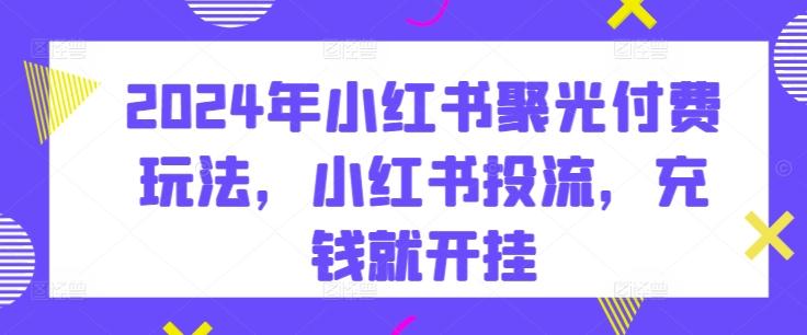 2024年小红书聚光付费玩法，小红书投流，充钱就开挂-百货大全