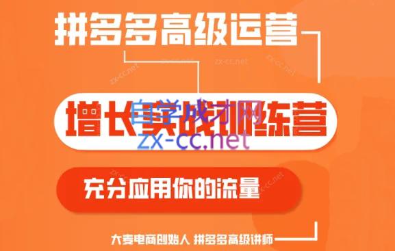大麦老师·拼多多单品爆款打造课程(更新6月)-百货大全