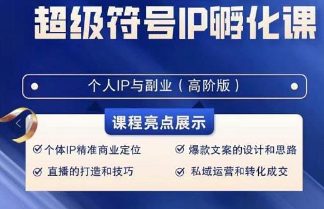 超级符号IP孵化高阶课，建立流量思维底层逻辑，打造属于自己IP（51节课）-百货大全