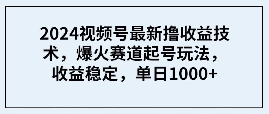 (9651期) 2024视频号最新撸收益技术，爆火赛道起号玩法，收益稳定，单日1000+-百货大全