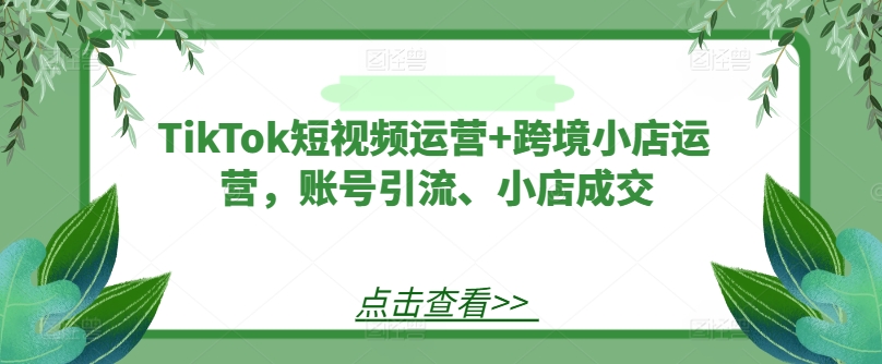 TikTok短视频运营+跨境小店运营，账号引流、小店成交-百货大全