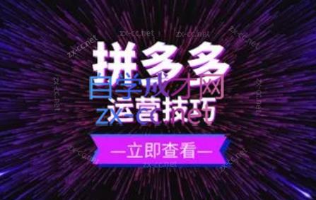力辛电商·拼多多强付费店群玩法-百货大全