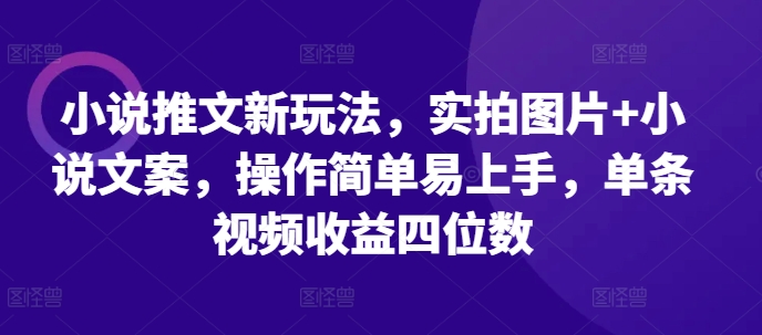 小说推文新玩法，实拍图片+小说文案，操作简单易上手，单条视频收益四位数-百货大全