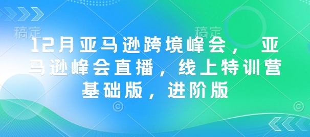 12月亚马逊跨境峰会， 亚马逊峰会直播，线上特训营基础版，进阶版-百货大全