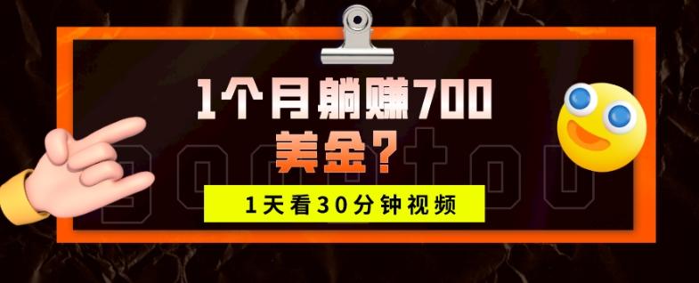 1天看30分钟视频，1个月躺赚700美金？-百货大全