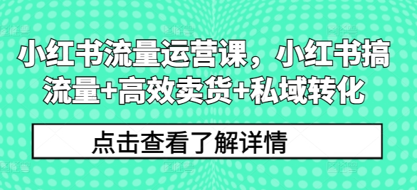 小红书流量运营课，小红书搞流量+高效卖货+私域转化-百货大全