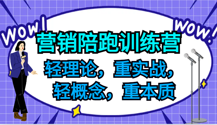 营销陪跑训练营，轻理论，重实战，轻概念，重本质，适合中小企业和初创企业的老板-百货大全