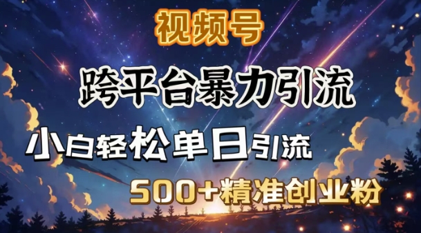 跨平台暴力引流，私域完美闭环，日引500+精准创业粉-百货大全