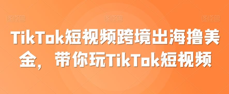 TikTok短视频跨境出海撸美金，带你玩TikTok短视频-百货大全