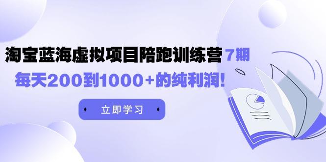 (9541期)黄岛主《淘宝蓝海虚拟项目陪跑训练营7期》每天200到1000+的纯利润-百货大全