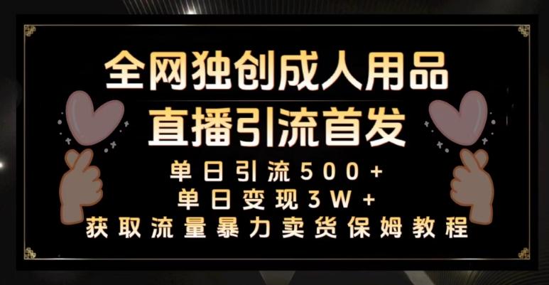 全网独创真人主播+无人直播单日引流500+，橙人用品暴力卖货单日变现3W+保姆似教学2.0【揭秘】-百货大全