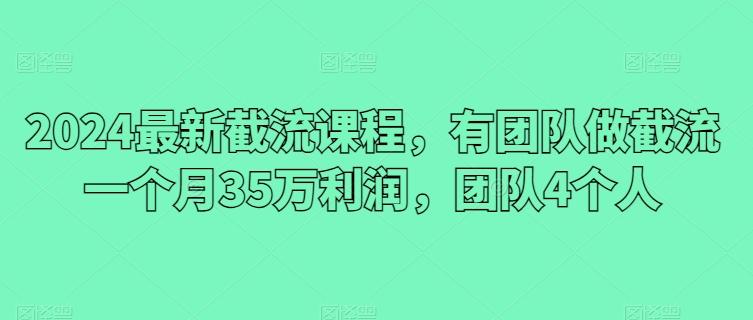 2024最新截流课程，有团队做截流一个月35万利润，团队4个人-百货大全