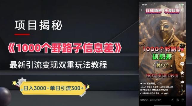 一千个野路子信息差最新玩法教程-变现+引流的玩法具体拆解【揭秘】-百货大全