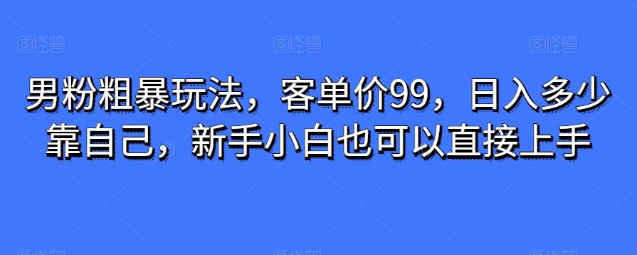 男粉粗暴玩法，客单价99，日入多少靠自己，新手小白也可以直接上手-百货大全