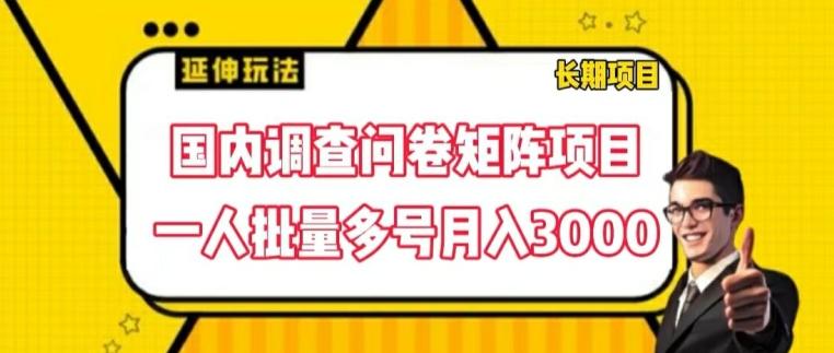 国内调查问卷矩阵项目，一人批量多号月入3000【揭秘】-百货大全