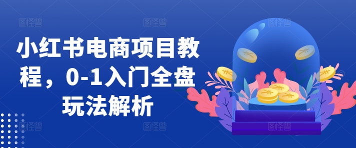 小红书电商项目教程，0-1入门全盘玩法解析-百货大全