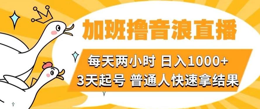 加班撸音浪直播，每天两小时，日入1000+，直播话术才3句，3天起号，普通人快速拿结果【揭秘】-百货大全