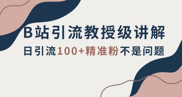 B站引流教授级讲解，细节满满，日引流100+精准粉不是问题【揭秘】-百货大全
