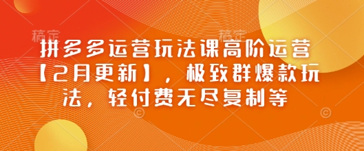 拼多多运营玩法课高阶运营【2月更新】，极致群爆款玩法，轻付费无尽复制等-百货大全
