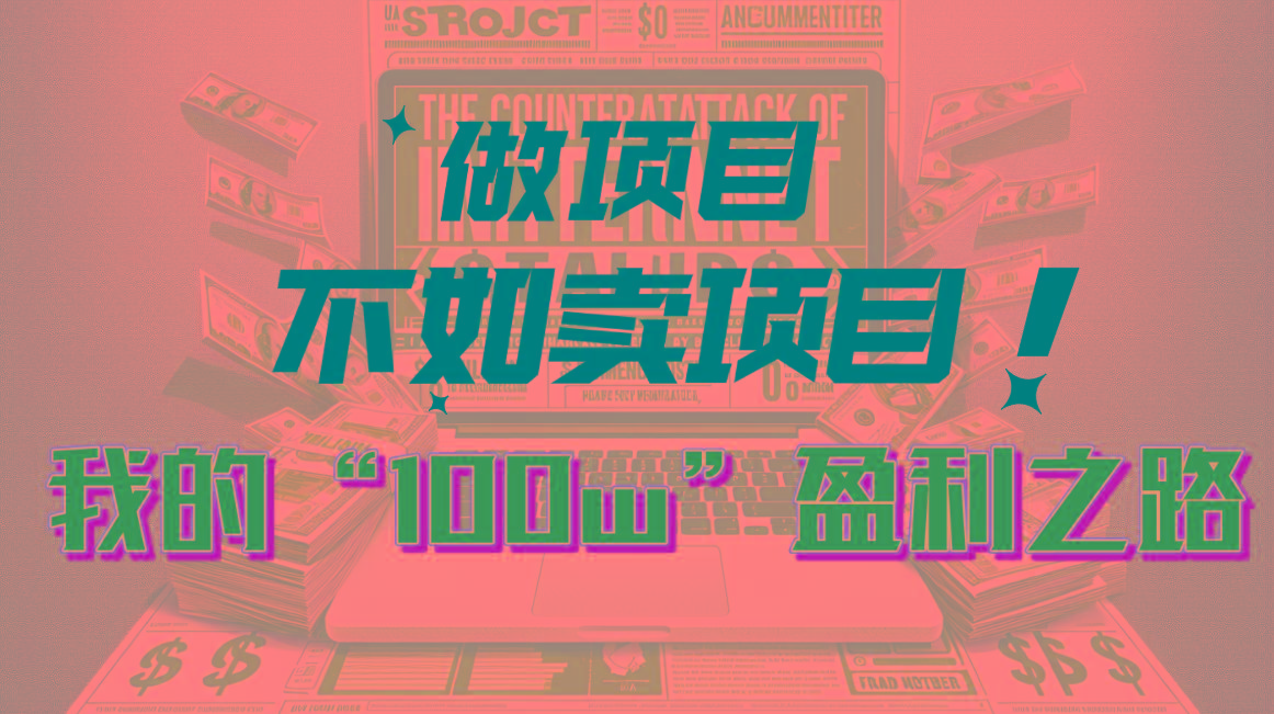 为什么做项目不如卖项目？我的100W+盈利之路-百货大全