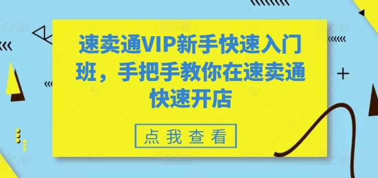 速卖通VIP新手快速入门班，手把手教你在速卖通快速开店-百货大全