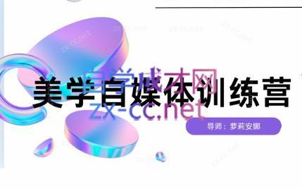 安娜·美学自媒体IP系统课-百货大全