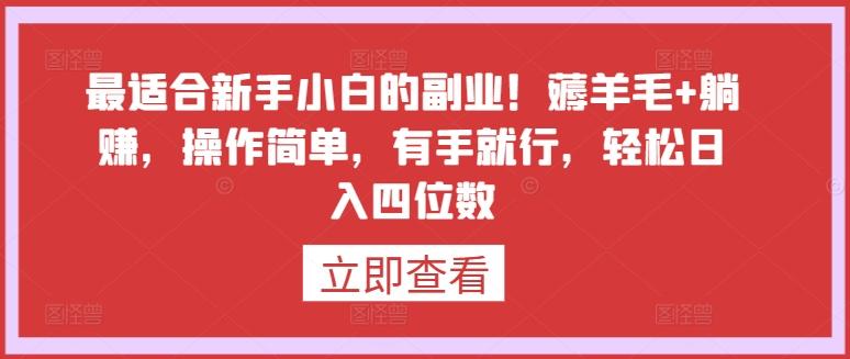最适合新手小白的副业！薅羊毛+躺赚，操作简单，有手就行，轻松日入四位数【揭秘】-百货大全