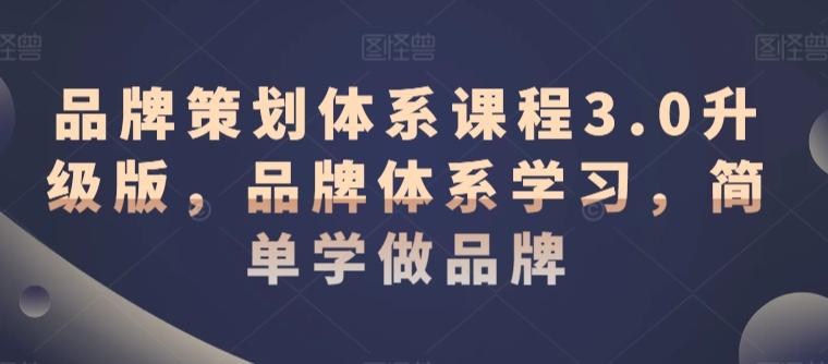 品牌策划体系课程3.0升级版，品牌体系学习，简单学做品牌-百货大全
