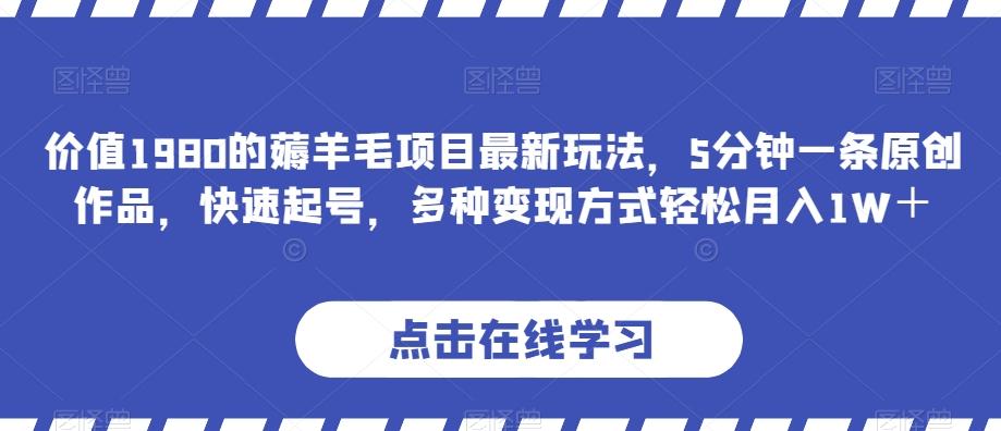 价值1980的薅羊毛项目最新玩法，5分钟一条原创作品，快速起号，多种变现方式轻松月入1W＋【揭秘】-百货大全